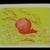 Limited edition Stone Lithograph;
Generic Fruit